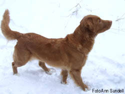 tova jan 2006